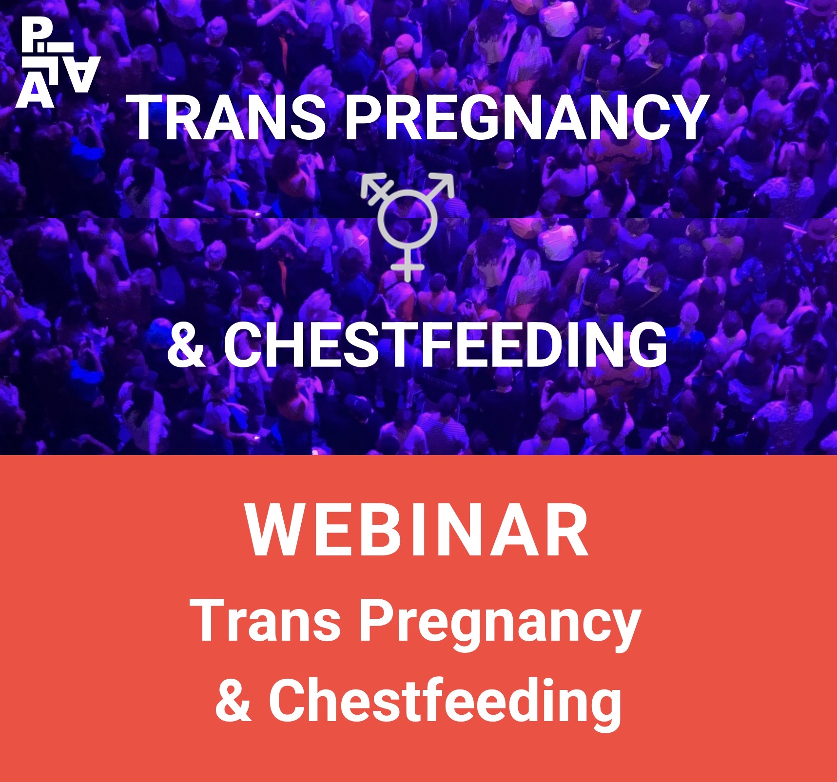 Webinar - Trans Pregnancy & Chestfeeding